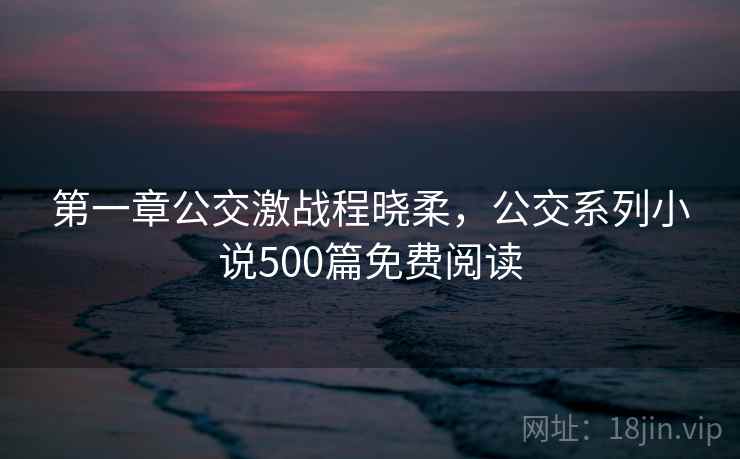 第一章公交激战程晓柔，公交系列小说500篇免费阅读