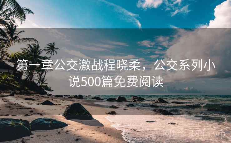 第一章公交激战程晓柔，公交系列小说500篇免费阅读