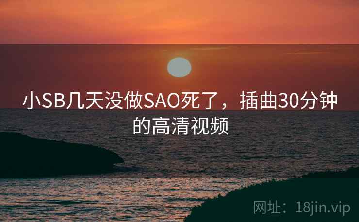 小SB几天没做SAO死了,插曲30分钟的高清视频