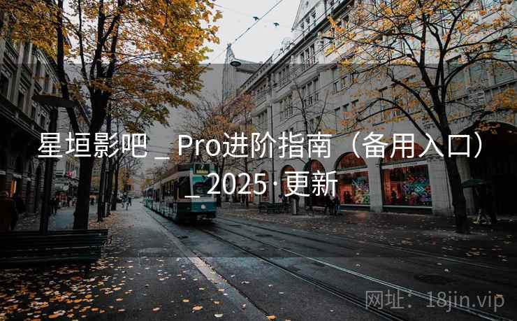 星垣影吧 _ Pro进阶指南(备用入口) _ 2025·更新