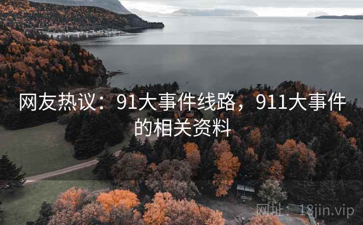 网友热议：91大事件线路，911大事件的相关资料