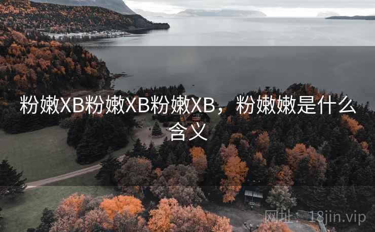 粉嫩XB粉嫩XB粉嫩XB，粉嫩嫩是什么含义